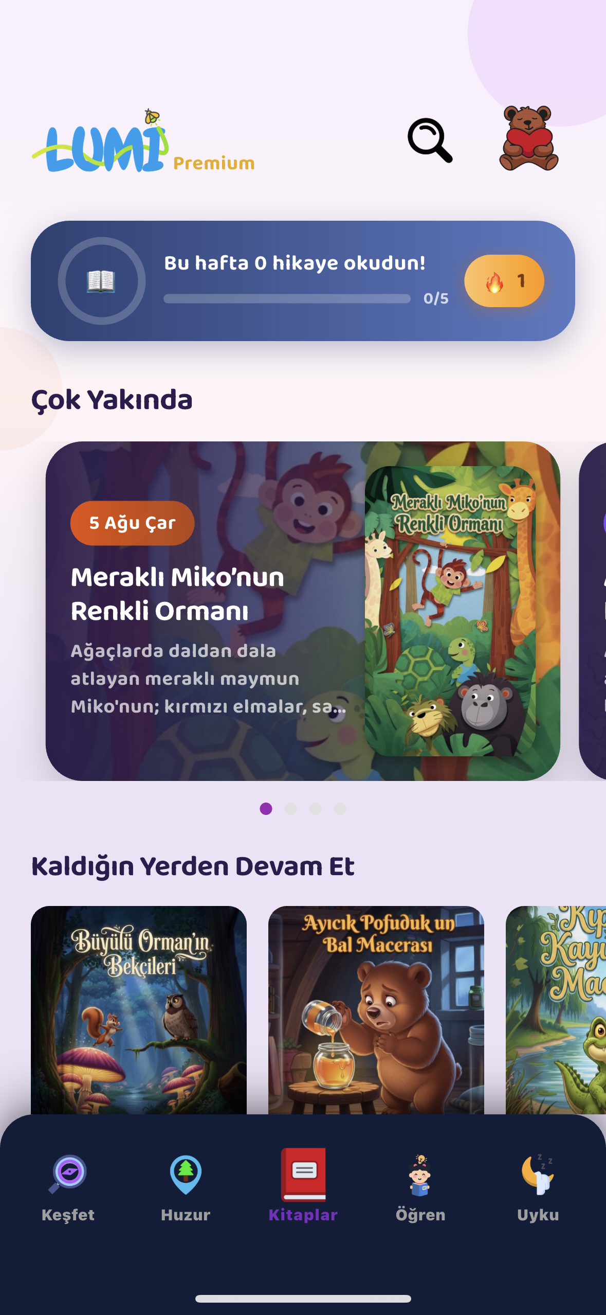 Uygulama ekranı